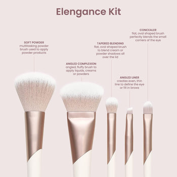 Makeup Brushes 5Pcs Makeup Brush Set Premium Synthetic Powder Foundation Contour Blush Concealer Eye Shadow Blending Liner Make Up Brush Kit